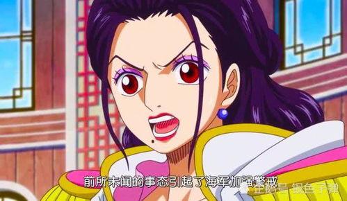 海贼王兔子爆料视频,兔子爆料揭秘，最新剧情大揭秘！  第1张